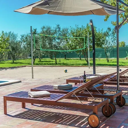In Zemunik Donji With Pool Donji Zemunik